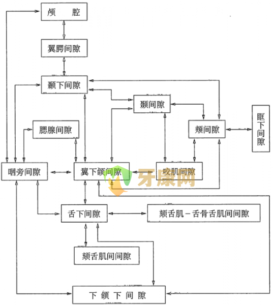 牙齿矫正