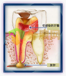 上海恒佳齿科