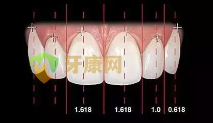 黄金比