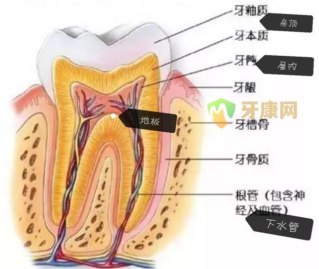 什么是根管治疗