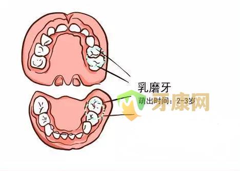 窝沟封闭几岁做